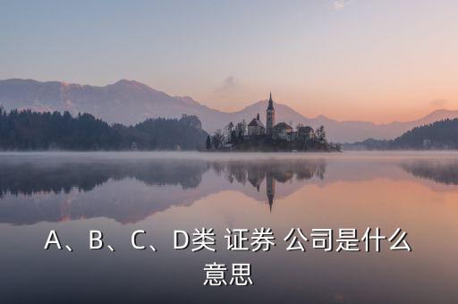 A、B、C、D類 證券 公司是什么意思