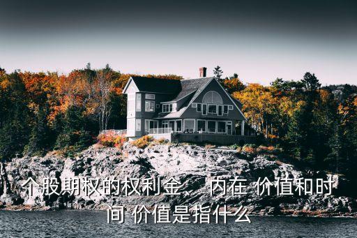 個(gè)股期權(quán)的權(quán)利金、 內(nèi)在 價(jià)值和時(shí)間 價(jià)值是指什么