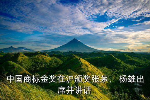 中國商標(biāo)金獎在滬頒獎張茅、 楊雄出席并講話