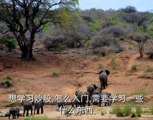 榮安地產股票最高價,000517榮安地產股票