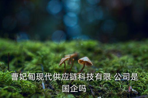  曹妃甸現(xiàn)代供應鏈科技有限 公司是國企嗎