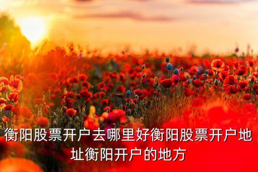 衡陽(yáng)股票開戶去哪里好衡陽(yáng)股票開戶地址衡陽(yáng)開戶的地方