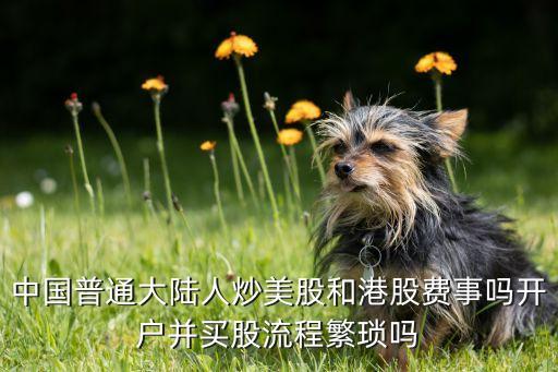 中國(guó)普通大陸人炒美股和港股費(fèi)事嗎開(kāi)戶并買股流程繁瑣嗎