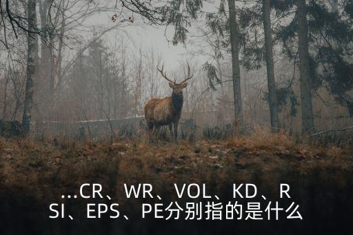...CR、WR、VOL、KD、RSI、EPS、PE分別指的是什么
