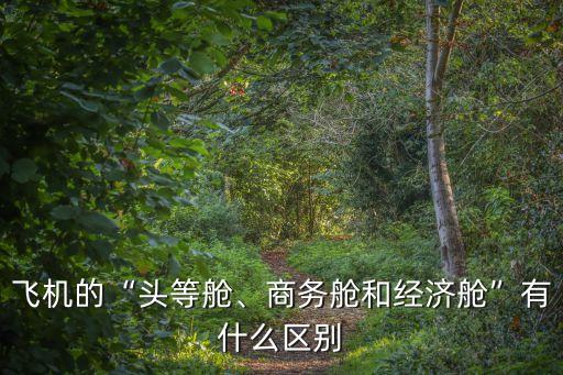 飛機的“頭等艙、商務(wù)艙和經(jīng)濟艙”有什么區(qū)別