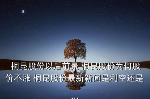 浙江桐昆控股集團,桐昆控股集團總資產多少億