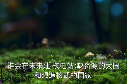 誰會(huì)在未來建 核電站:缺資源的大國(guó)和想造核武的國(guó)家