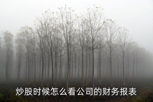 炒股時候怎么看公司的財(cái)務(wù)報(bào)表