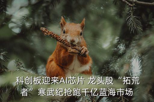  科創(chuàng)板迎來AI芯片 龍頭股“拓荒者”寒武紀(jì)搶跑千億藍(lán)海市場