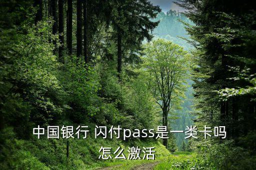 中國(guó)銀行閃付怎么開(kāi)通