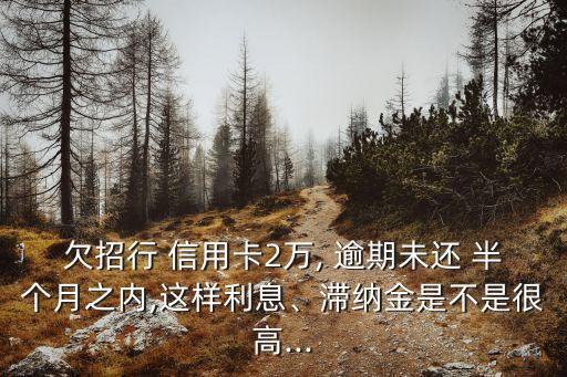 欠招行 信用卡2萬, 逾期未還 半個月之內(nèi),這樣利息、滯納金是不是很高...