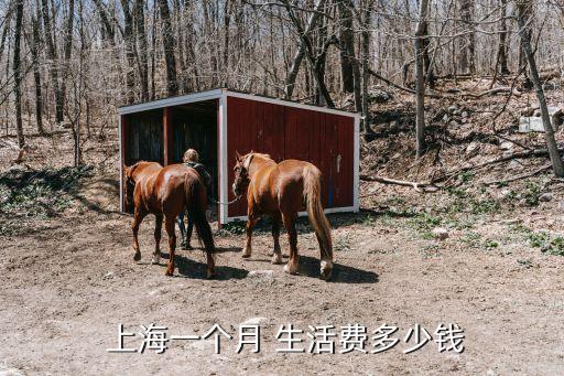  上海一個月 生活費(fèi)多少錢