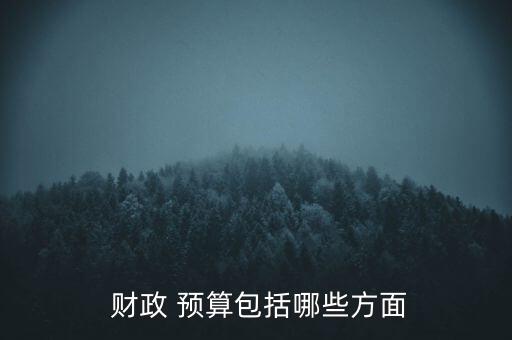  財政 預算包括哪些方面