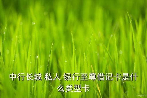中行長(zhǎng)城 私人 銀行至尊借記卡是什么類(lèi)型卡