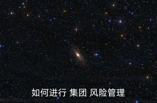 如何進行 集團 風險管理