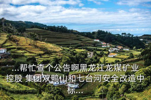 ...幫忙查個公告啊黑龍江龍煤礦業(yè)控股 集團(tuán)雙鴨山和七臺河安全改造中標(biāo)...