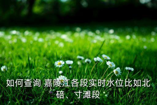 如何查詢 嘉陵江各段實(shí)時(shí)水位比如北碚、寸灘段