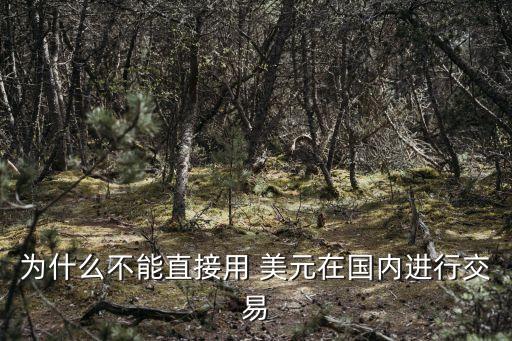 為什么不能直接用 美元在國內(nèi)進(jìn)行交易