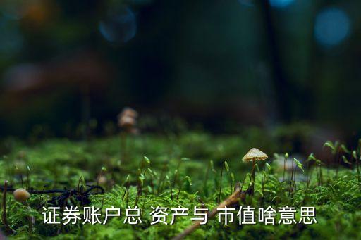 證券賬戶總 資產與 市值啥意思