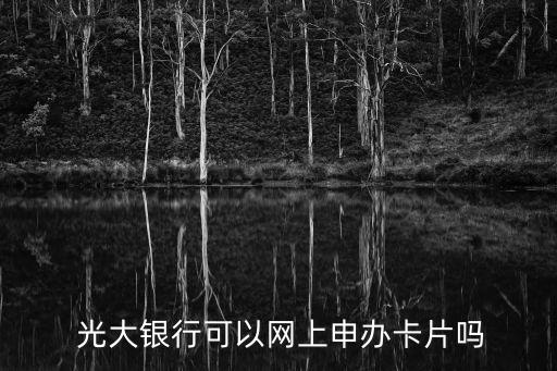  光大銀行可以網上申辦卡片嗎