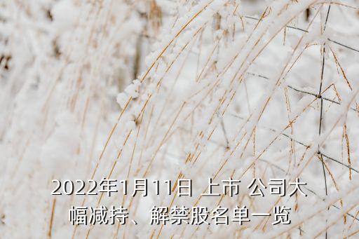 2022年1月11日 上市 公司大幅減持、解禁股名單一覽