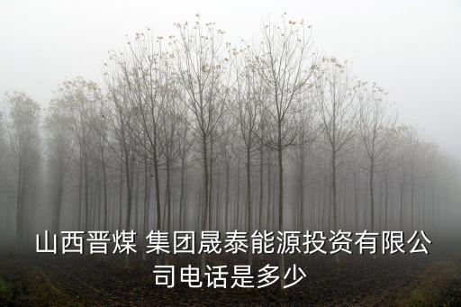  山西晉煤 集團晟泰能源投資有限公司電話是多少