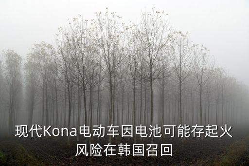 現(xiàn)代Kona電動車因電池可能存起火風(fēng)險(xiǎn)在韓國召回