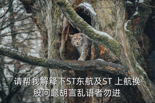 請(qǐng)幫我解釋下ST東航及ST 上航換股問(wèn)題胡言亂語(yǔ)者勿進(jìn)