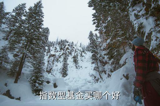 指數(shù)型基金買(mǎi)哪個(gè)好