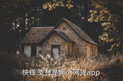 快錢 支付是哪個(gè)網(wǎng)貸app