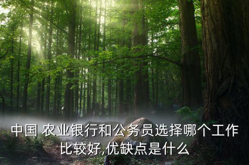 中國 農(nóng)業(yè)銀行和公務員選擇哪個工作比較好,優(yōu)缺點是什么