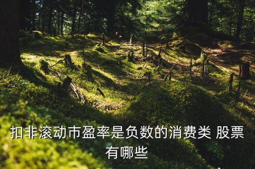 扣非滾動市盈率是負(fù)數(shù)的消費類 股票有哪些