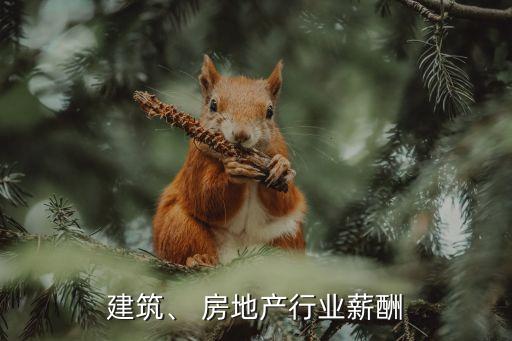 建筑、 房地產(chǎn)行業(yè)薪酬