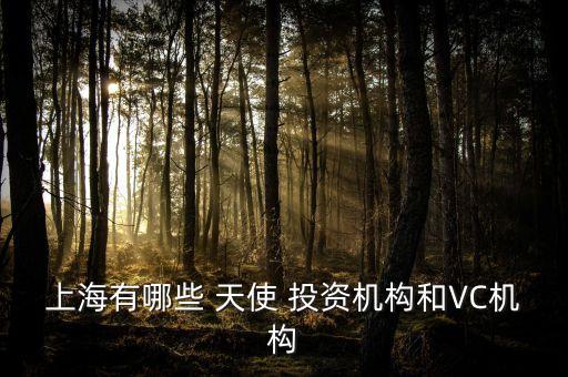 上海有哪些 天使 投資機(jī)構(gòu)和VC機(jī)構(gòu)