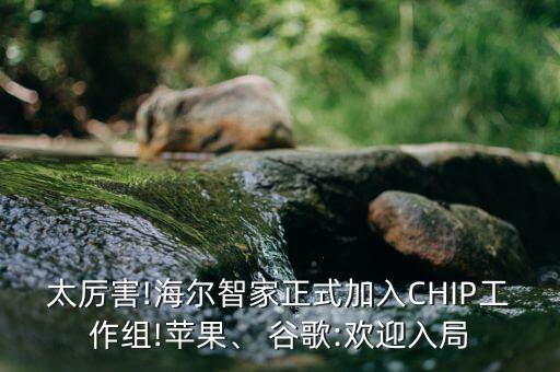 太厲害!海爾智家正式加入CHIP工作組!蘋果、 谷歌:歡迎入局