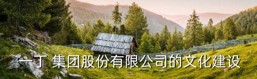 一丁 集團股份有限公司的文化建設