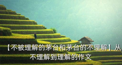 貴州茅臺酒公司信用評價(jià)