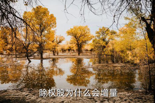  除權(quán)股為什么會(huì)增量