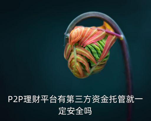 P2P理財(cái)平臺有第三方資金托管就一定安全嗎