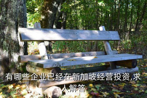 大新船務有限公司,香港明華船務有限公司