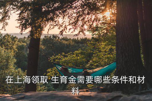 在上海領(lǐng)取 生育金需要哪些條件和材料