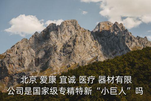  北京 愛康 宜誠(chéng) 醫(yī)療 器材有限公司是國(guó)家級(jí)專精特新“小巨人”嗎