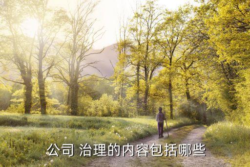  公司 治理的內容包括哪些