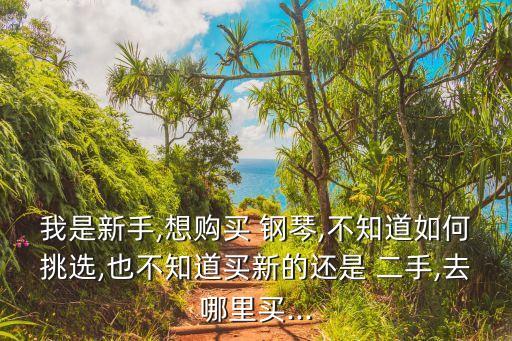 我是新手,想購(gòu)買(mǎi) 鋼琴,不知道如何挑選,也不知道買(mǎi)新的還是 二手,去哪里買(mǎi)...