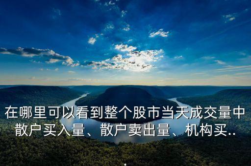 在哪里可以看到整個股市當天成交量中散戶買入量、散戶賣出量、機構(gòu)買...