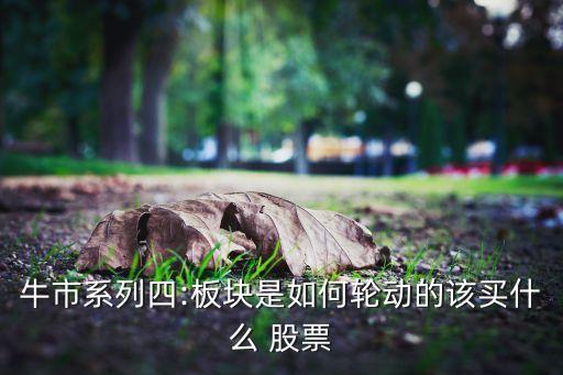 牛市系列四:板塊是如何輪動(dòng)的該買(mǎi)什么 股票