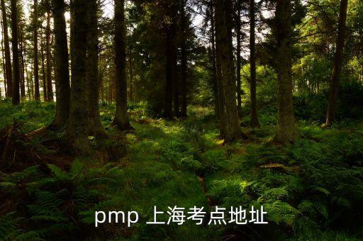 pmp 上?？键c(diǎn)地址