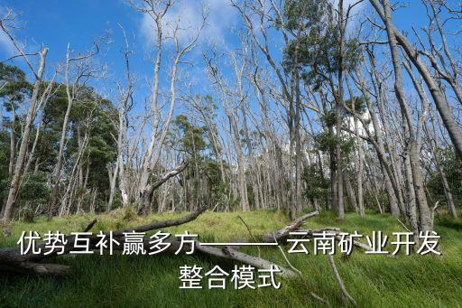 優(yōu)勢(shì)互補(bǔ)贏多方——— 云南礦業(yè)開(kāi)發(fā)整合模式
