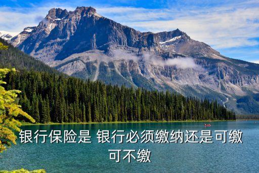  銀行保險(xiǎn)是 銀行必須繳納還是可繳可不繳