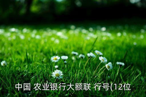 浙江義烏農業(yè)銀行支付行號,義烏蘇溪農業(yè)銀行的行號是什么